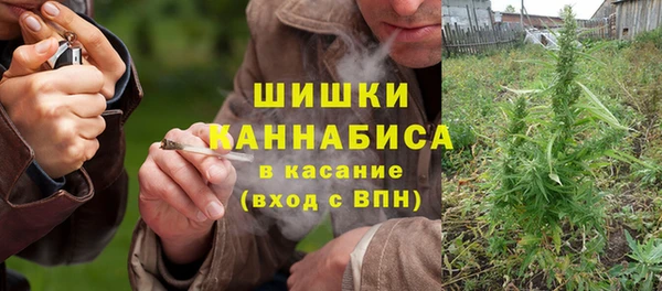 стаф Пестово