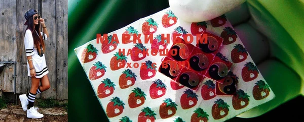 стаф Алексин