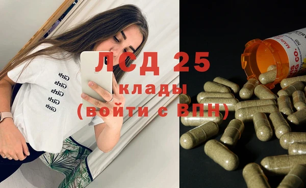 стаф Алексин