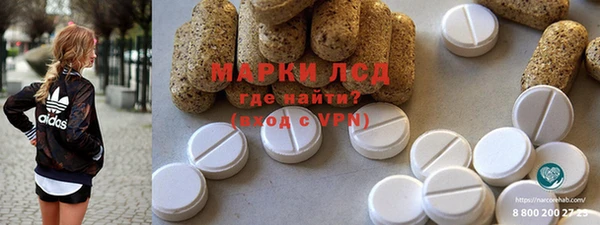 стаф Алексин