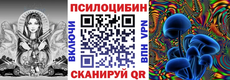 Галлюциногенные грибы Psilocybe Осташков